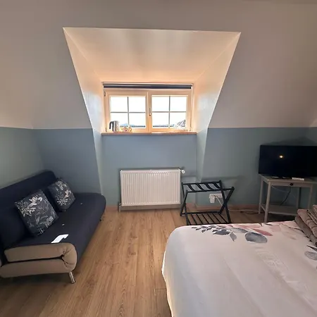 Les Cigognes De Rosheim