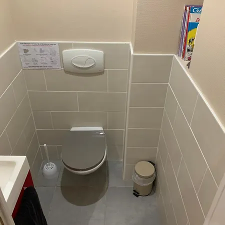 Les Cigognes De Rosheim