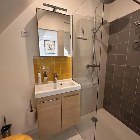 Les Cigognes De Rosheim